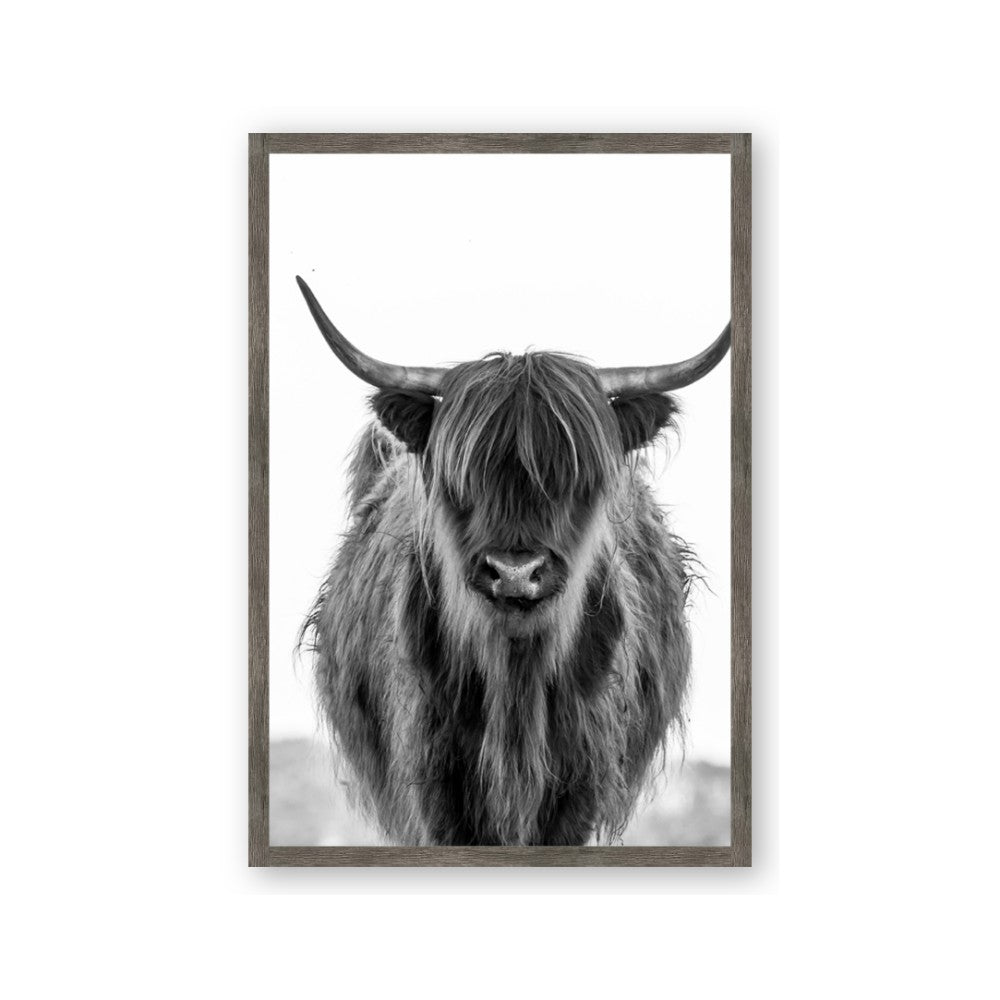 B&W Highland