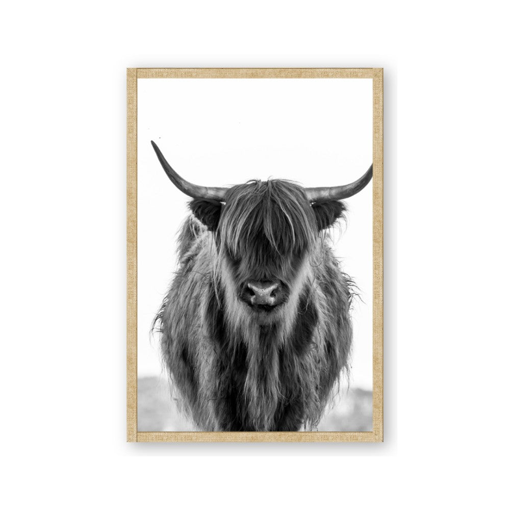 B&W Highland