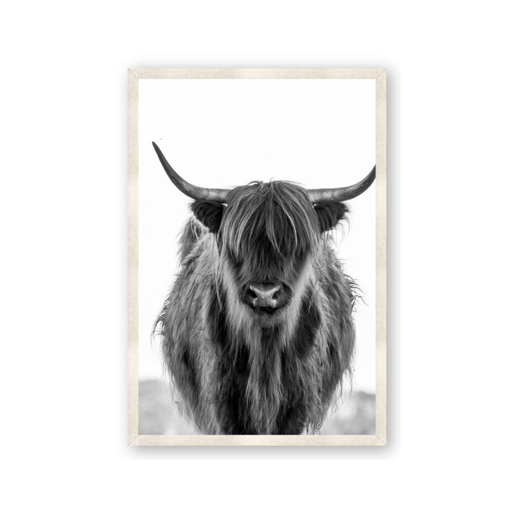 B&W Highland