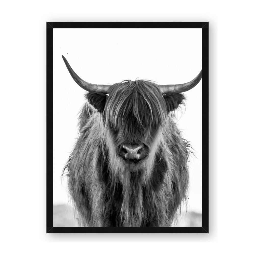 B&W Highland