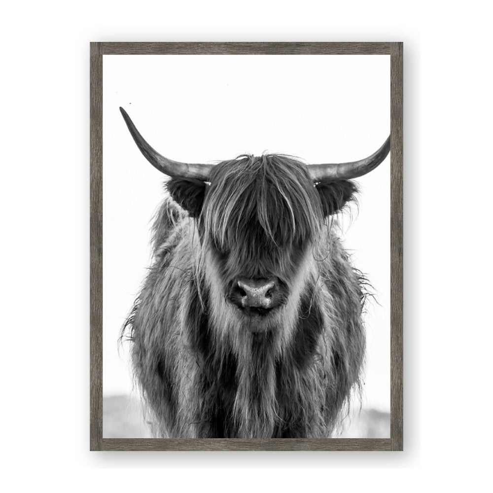 B&W Highland