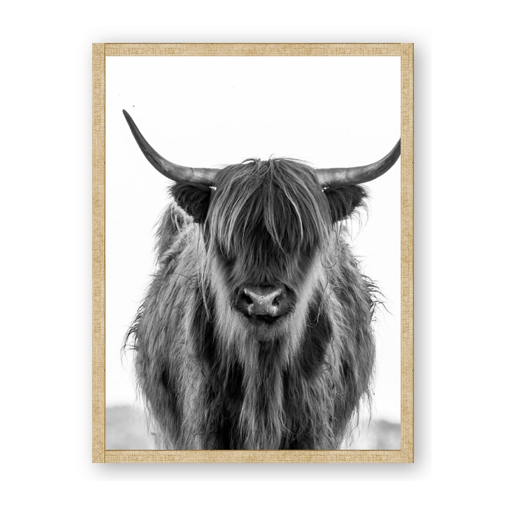 B&W Highland