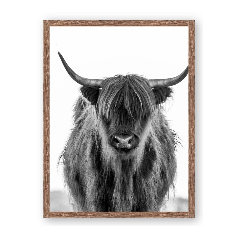 B&W Highland