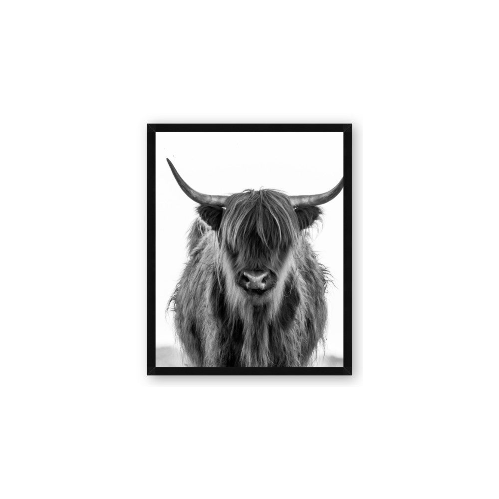 B&W Highland