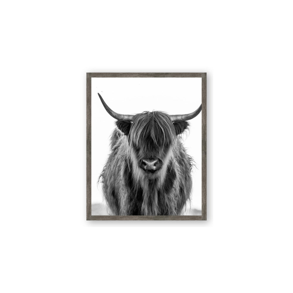 B&W Highland