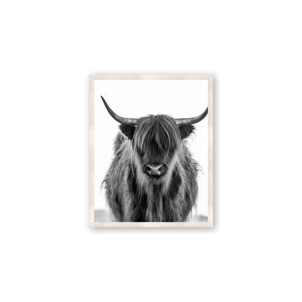 B&W Highland