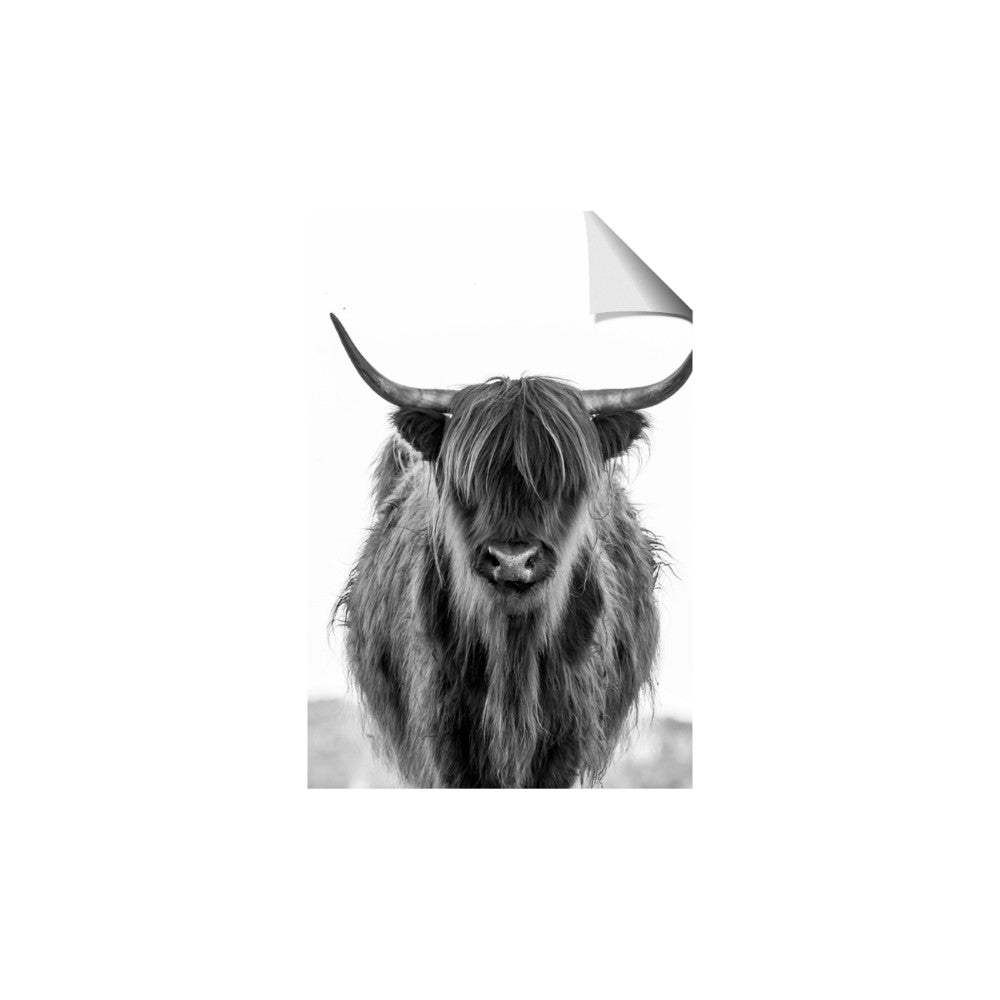 B&W Highland