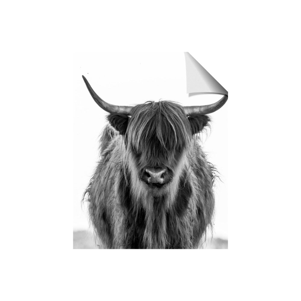 B&W Highland