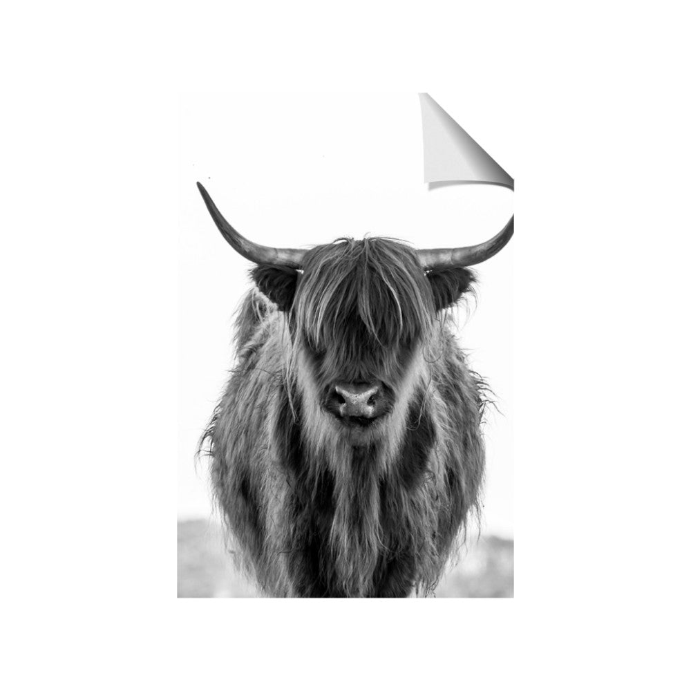 B&W Highland
