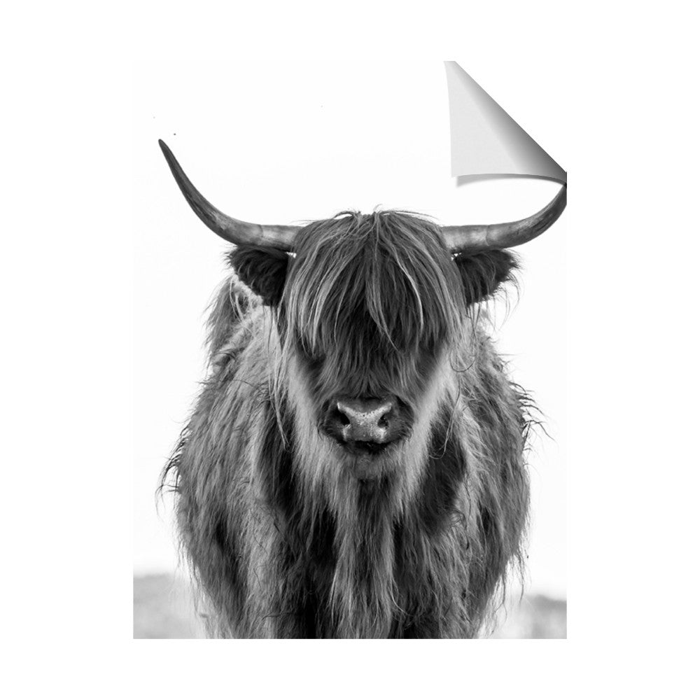 B&W Highland