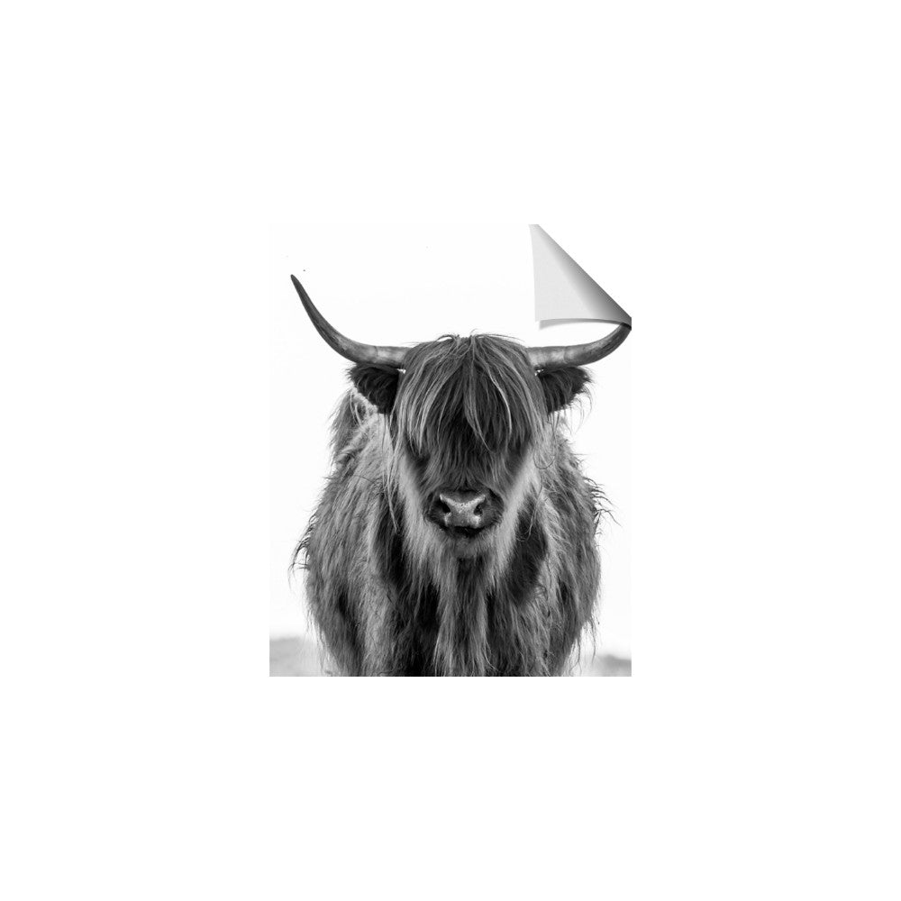 B&W Highland