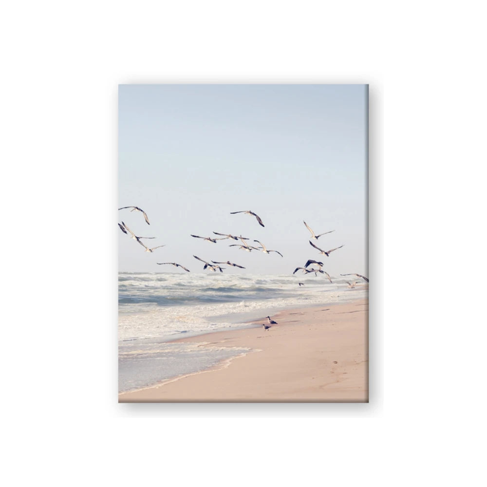 Beach Birds