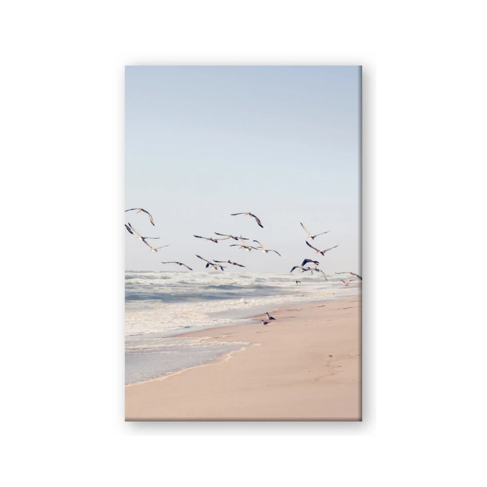 Beach Birds