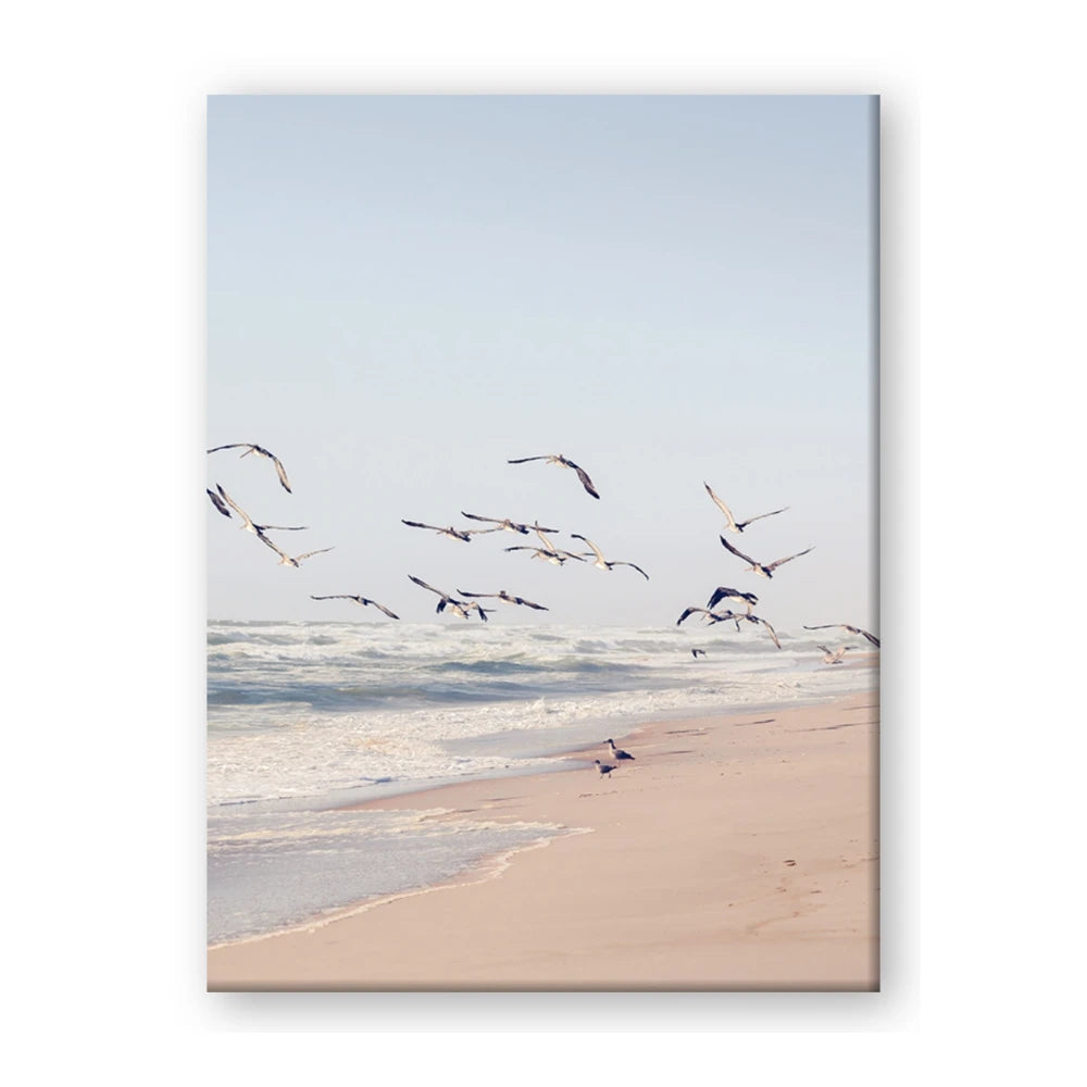 Beach Birds