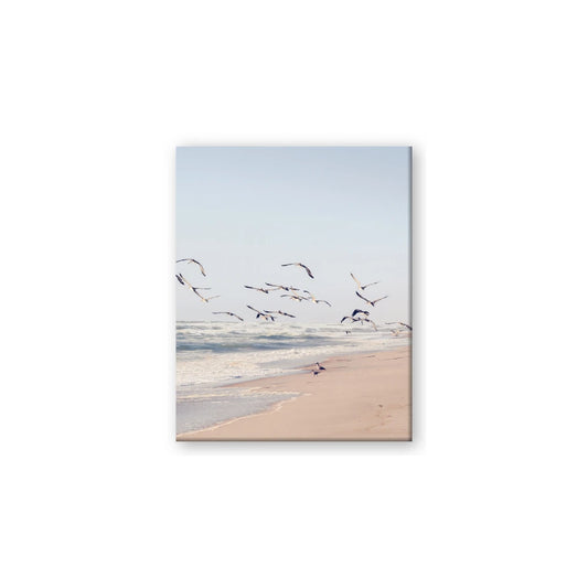 Beach Birds