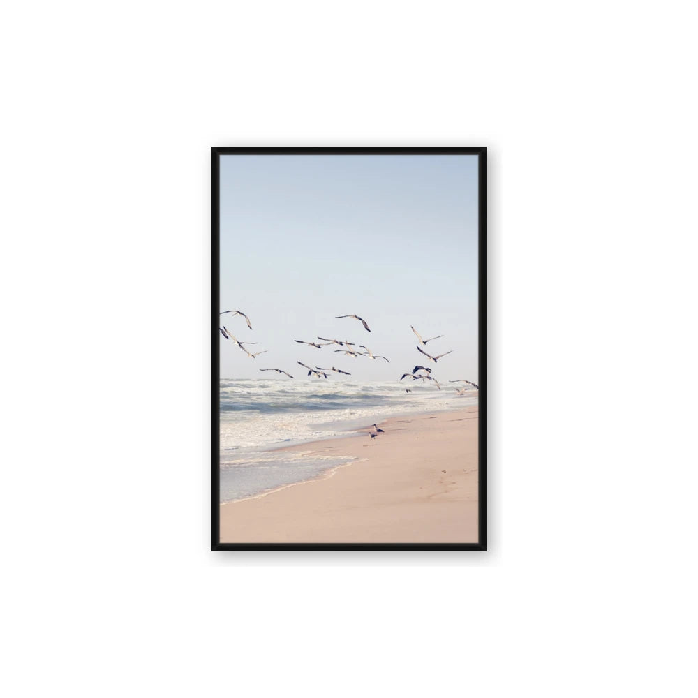 Beach Birds