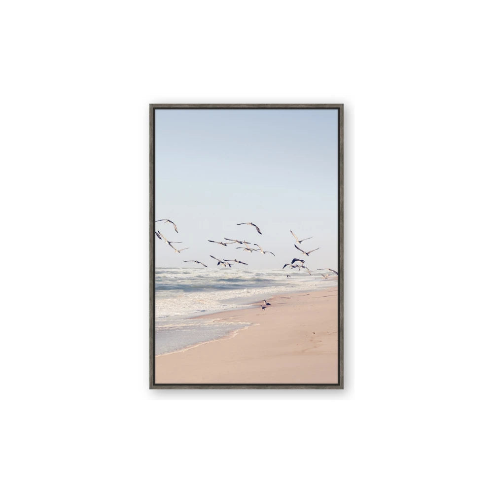 Beach Birds