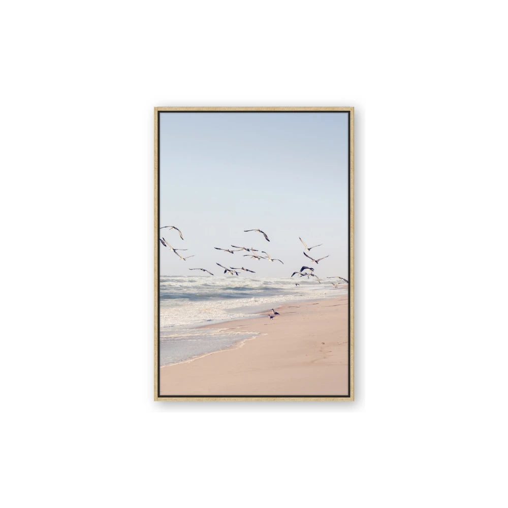 Beach Birds