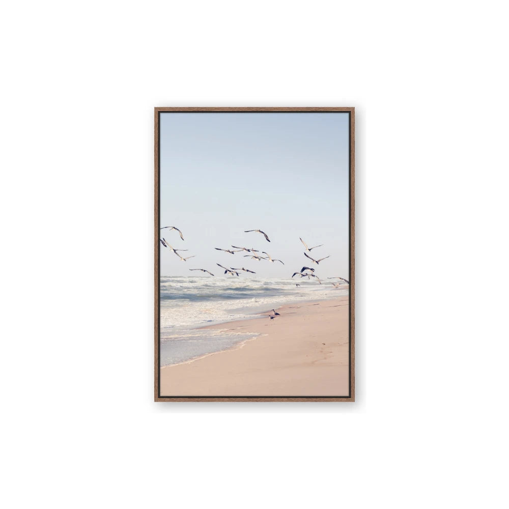 Beach Birds