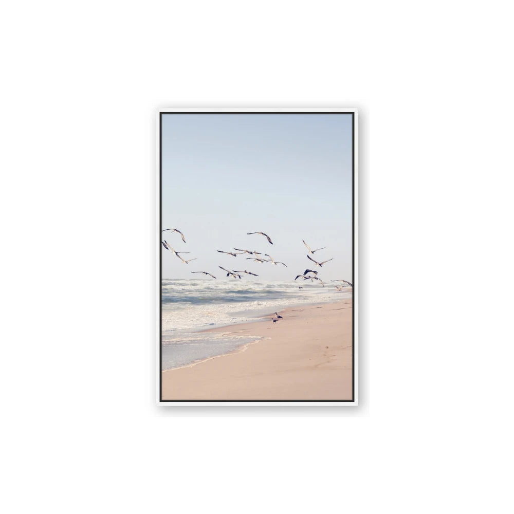 Beach Birds