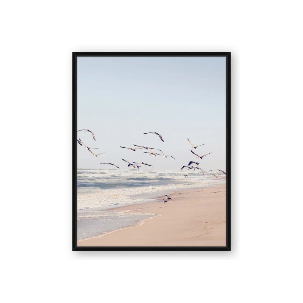 Beach Birds