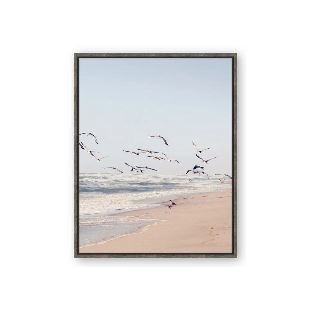 Beach Birds