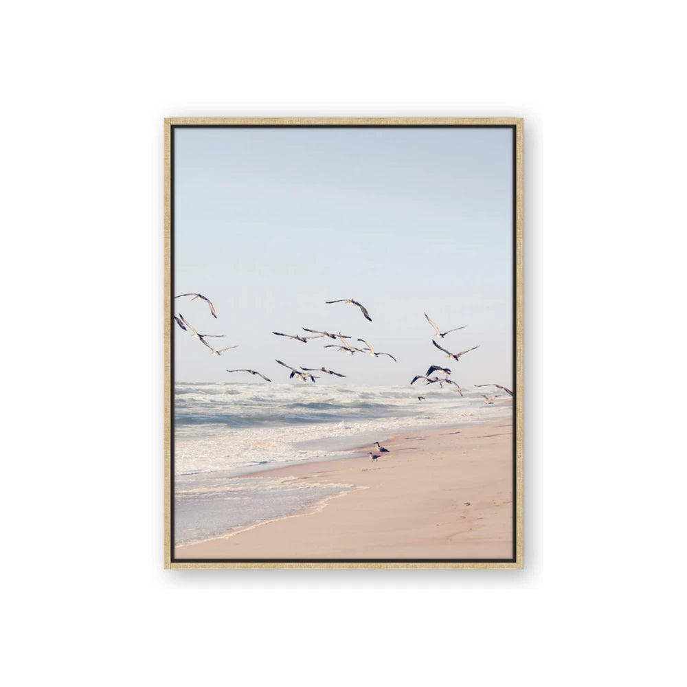 Beach Birds