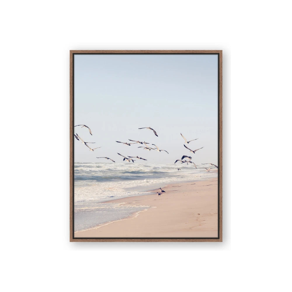 Beach Birds