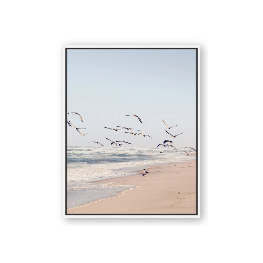 Beach Birds