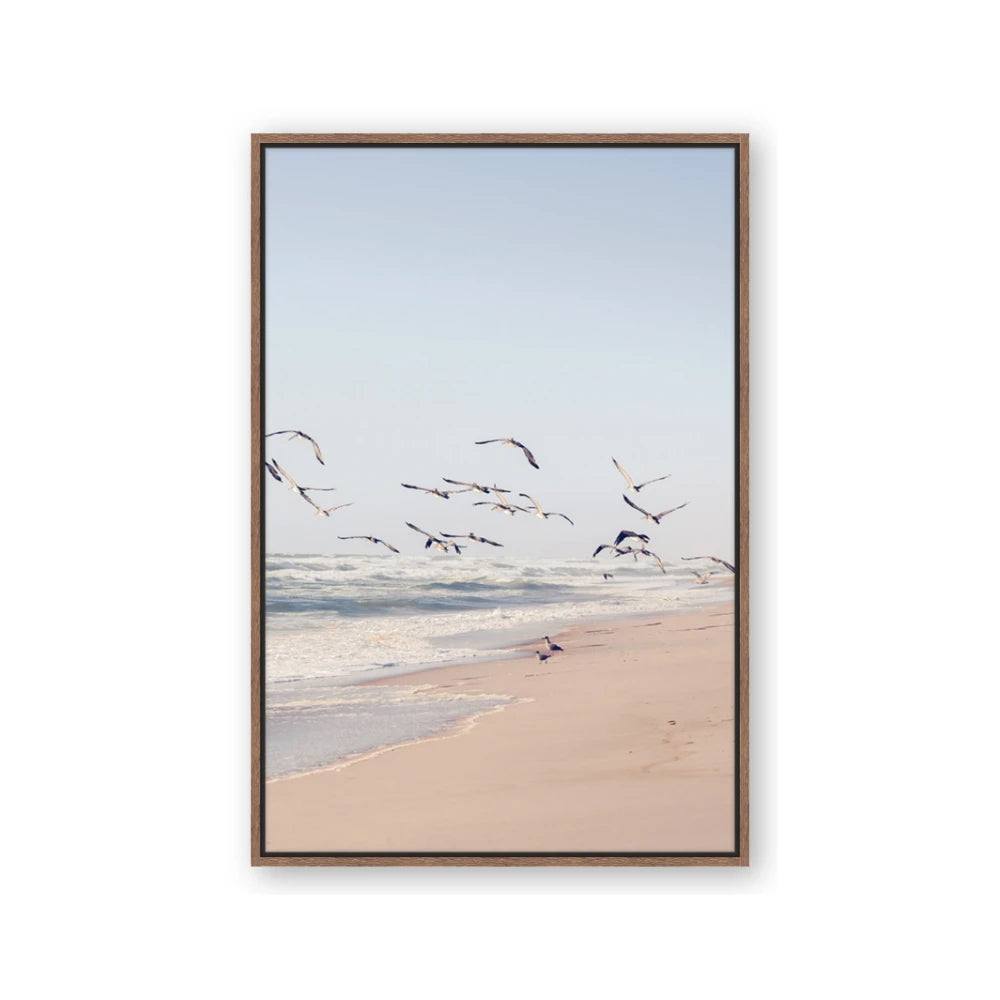 Beach Birds