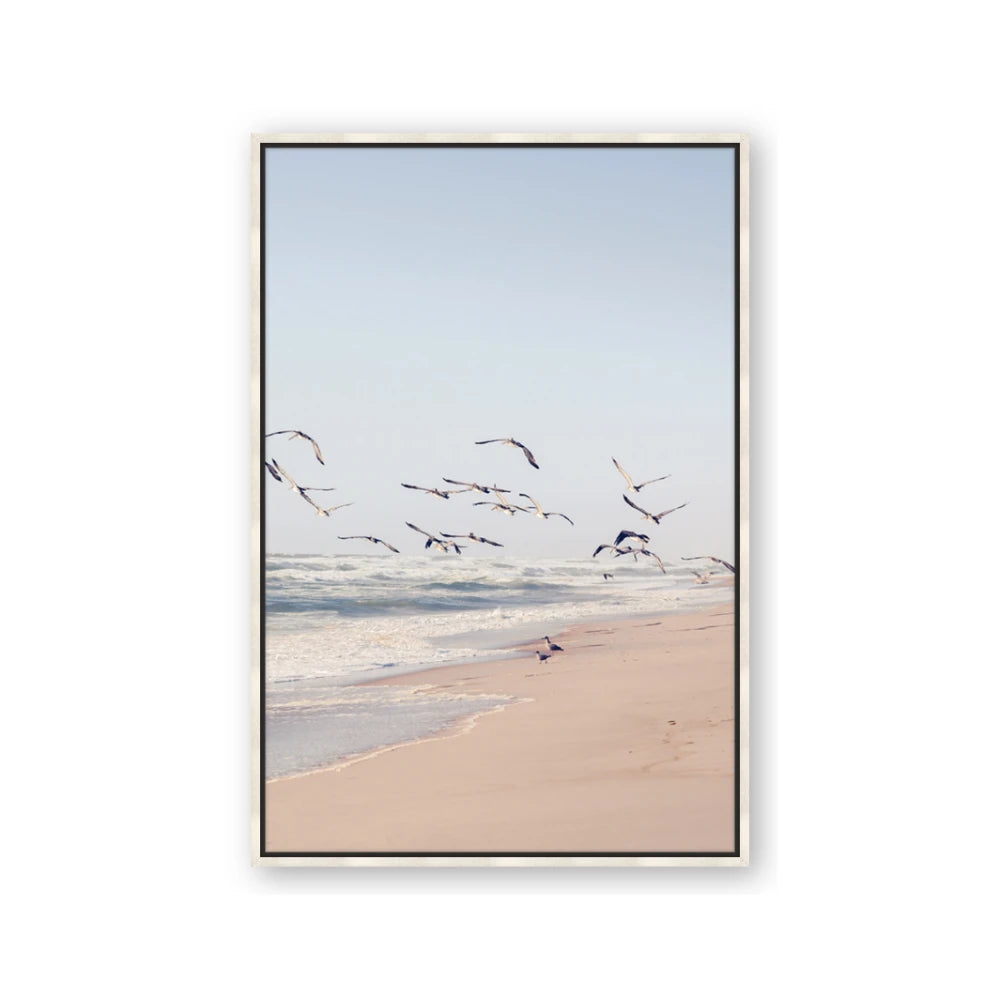 Beach Birds