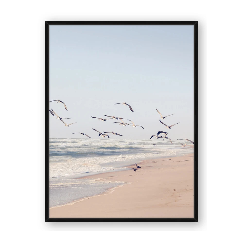 Beach Birds
