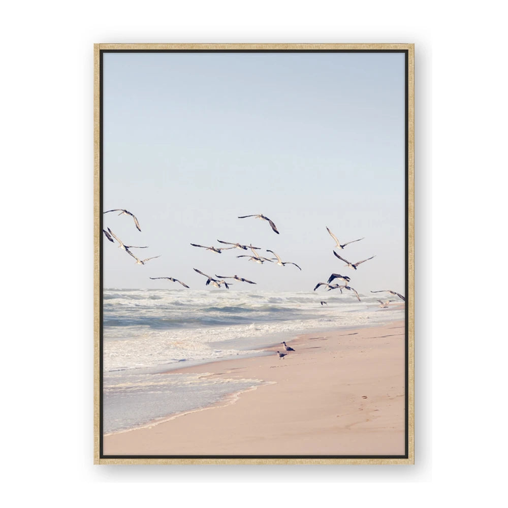 Beach Birds