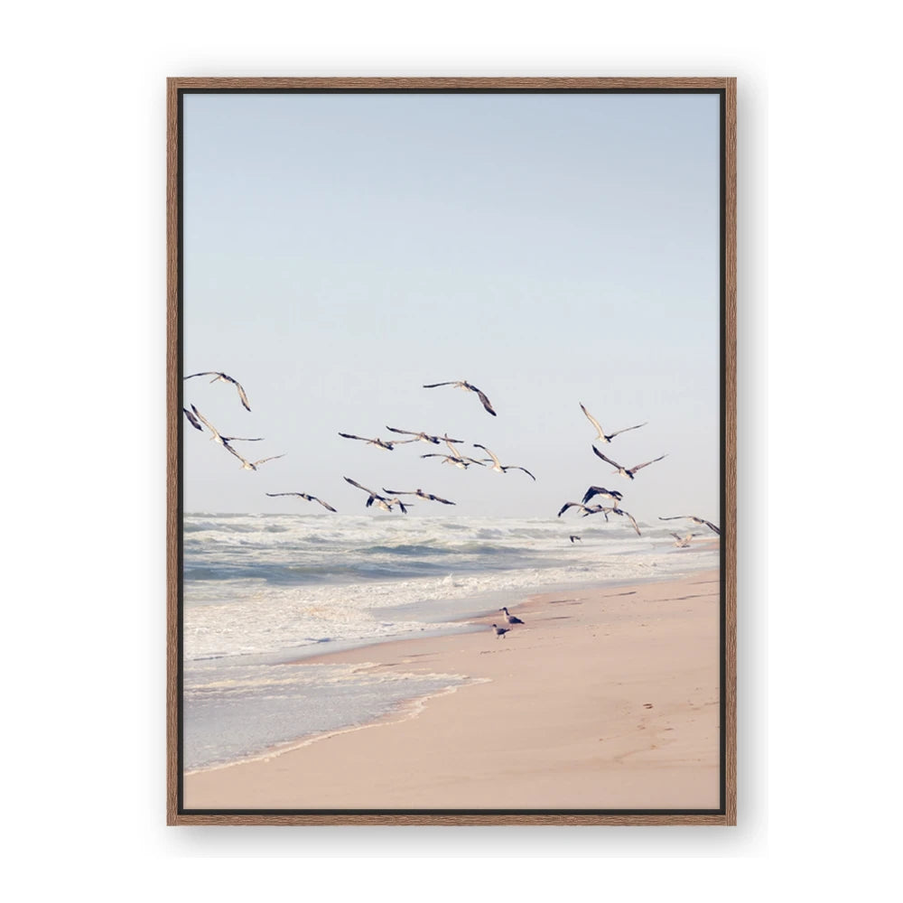 Beach Birds