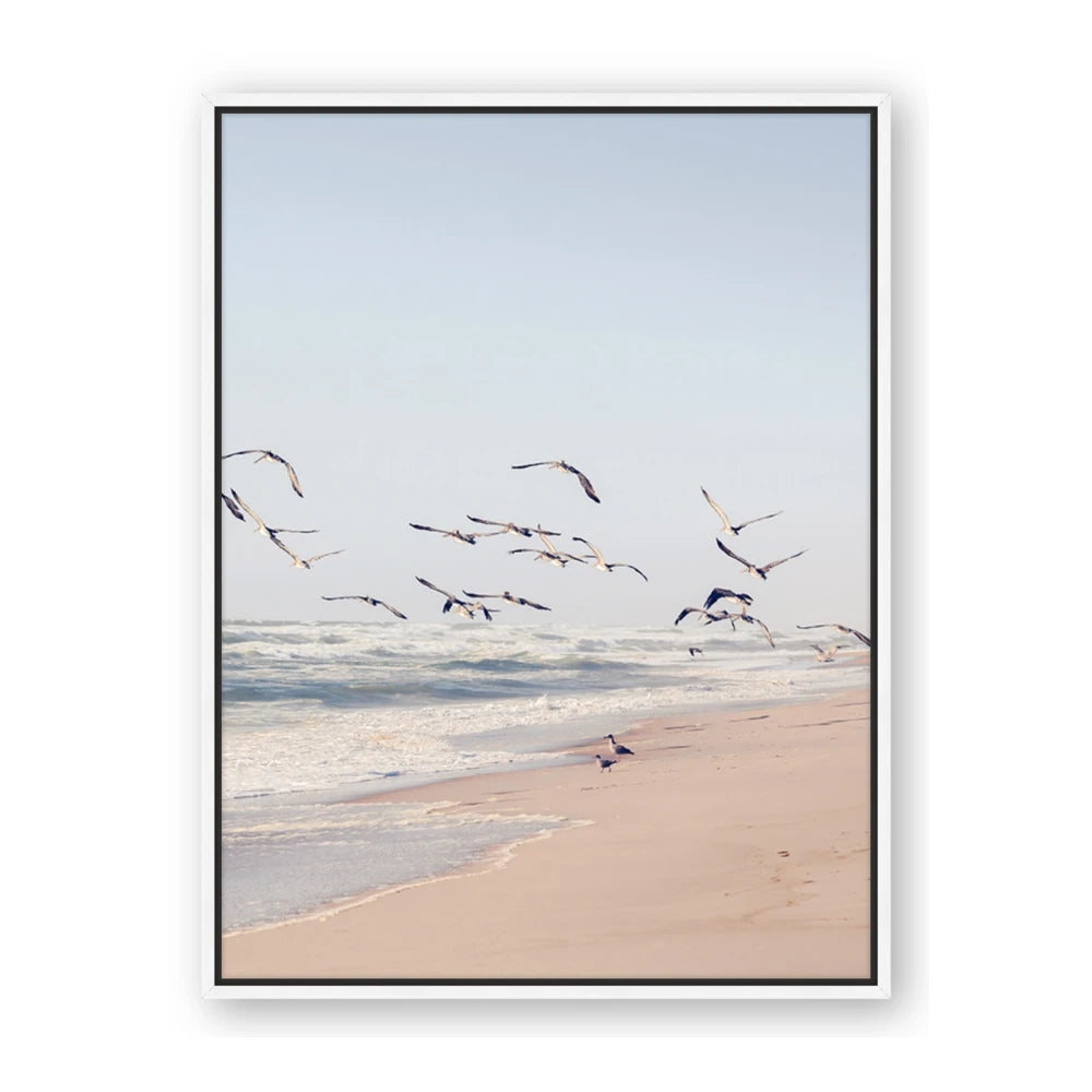 Beach Birds