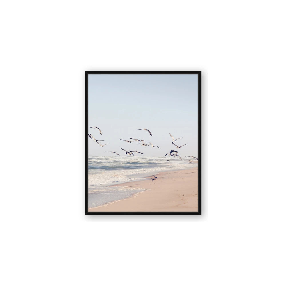 Beach Birds