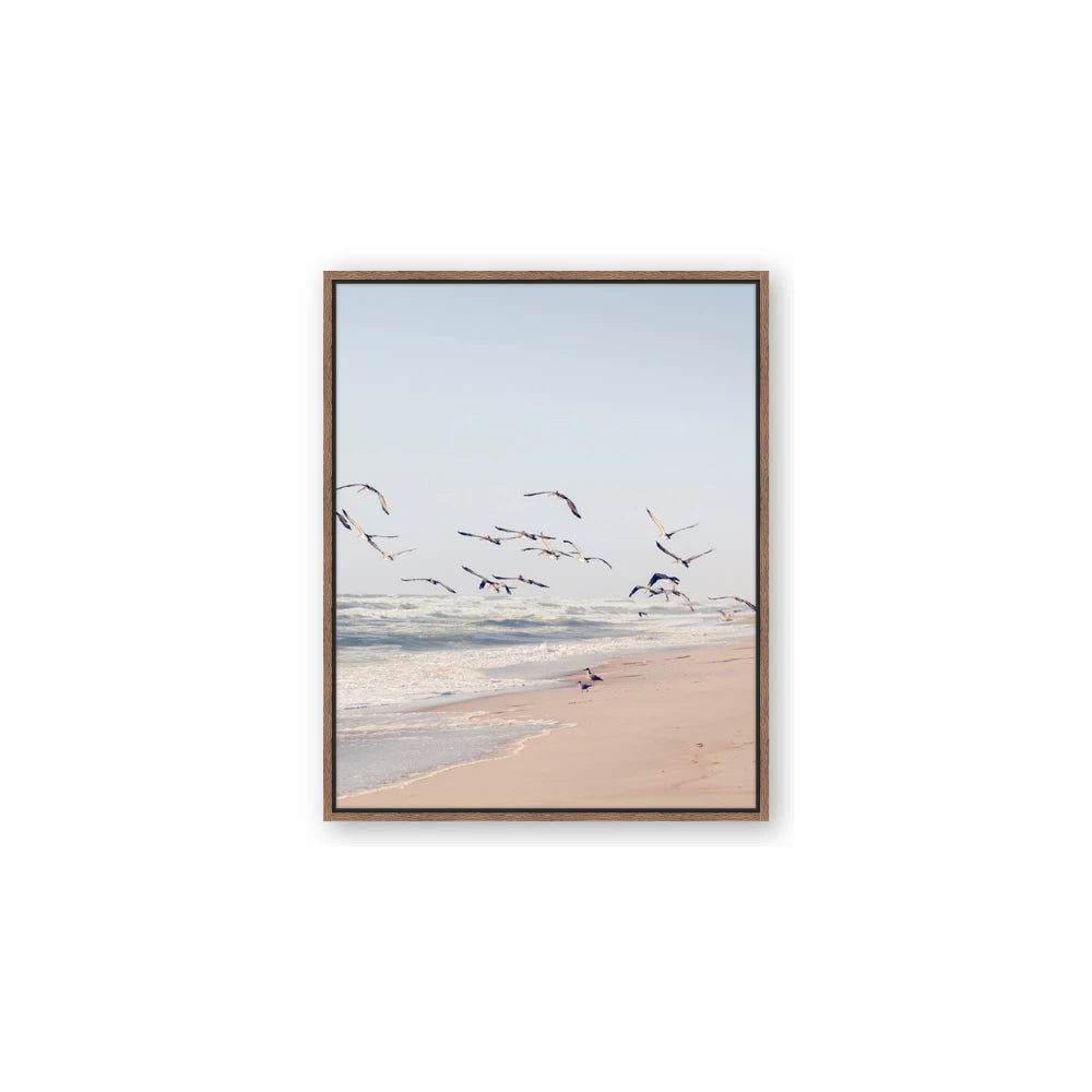 Beach Birds