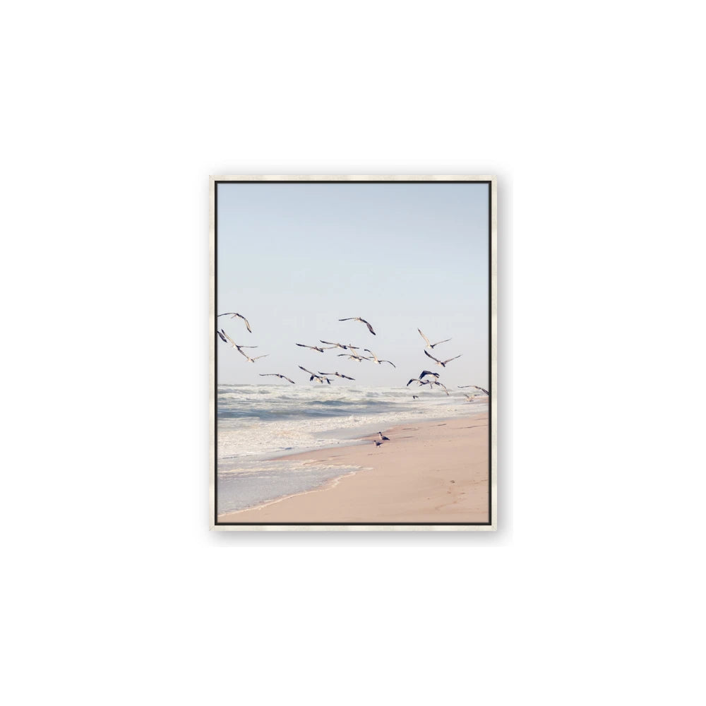 Beach Birds