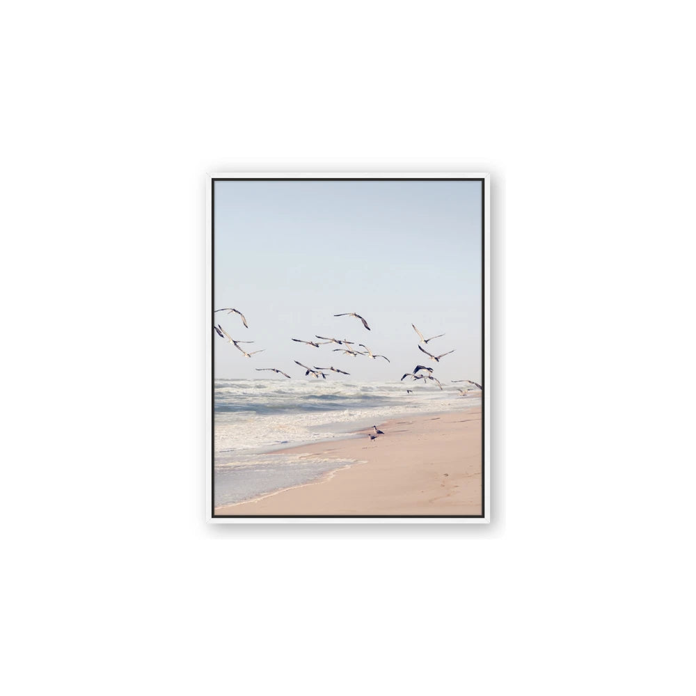 Beach Birds