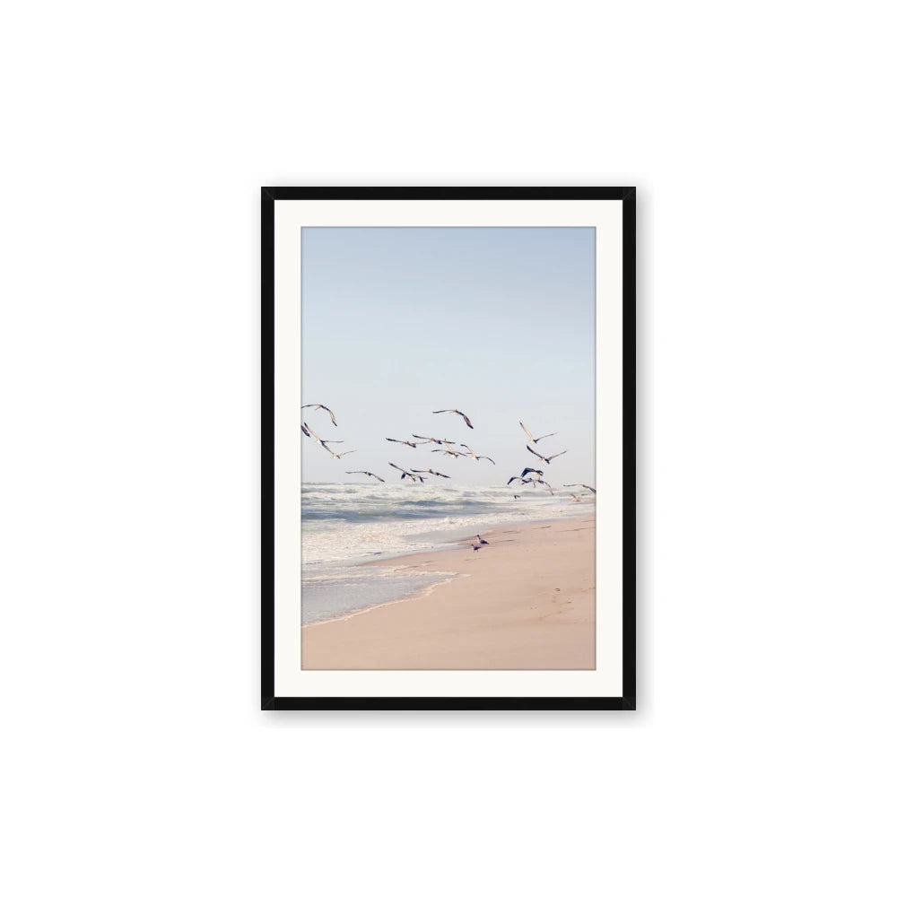 Beach Birds