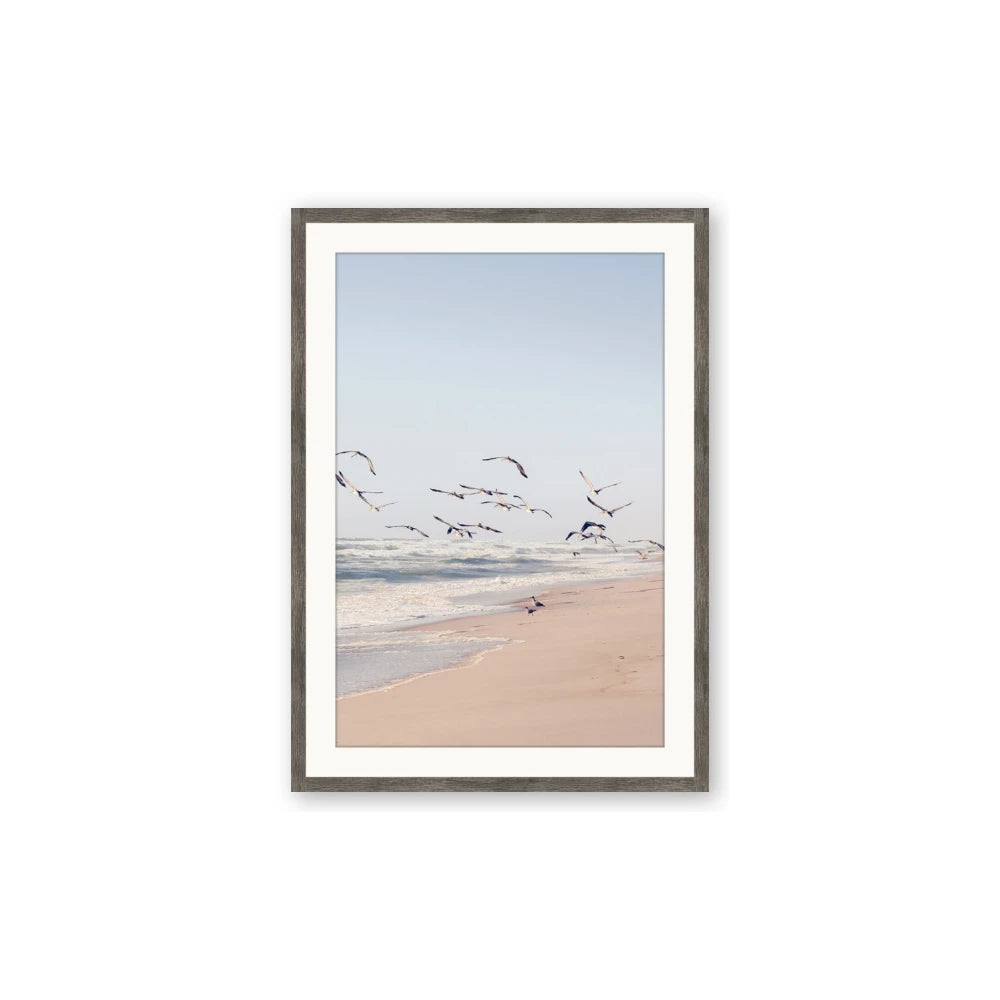 Beach Birds
