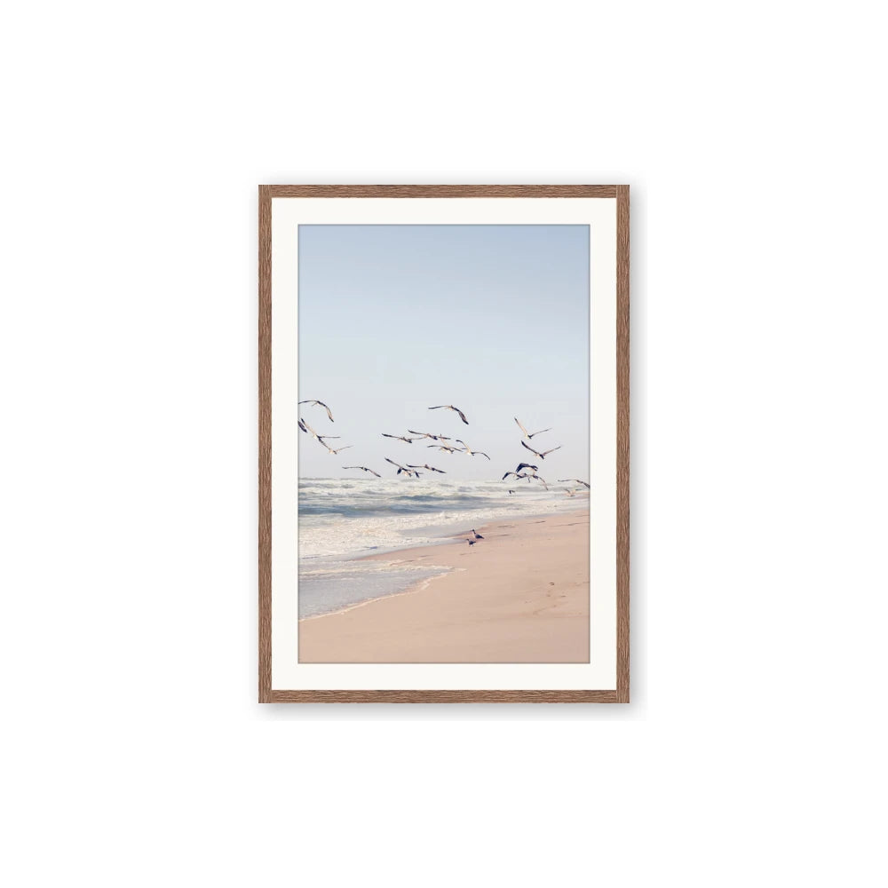 Beach Birds