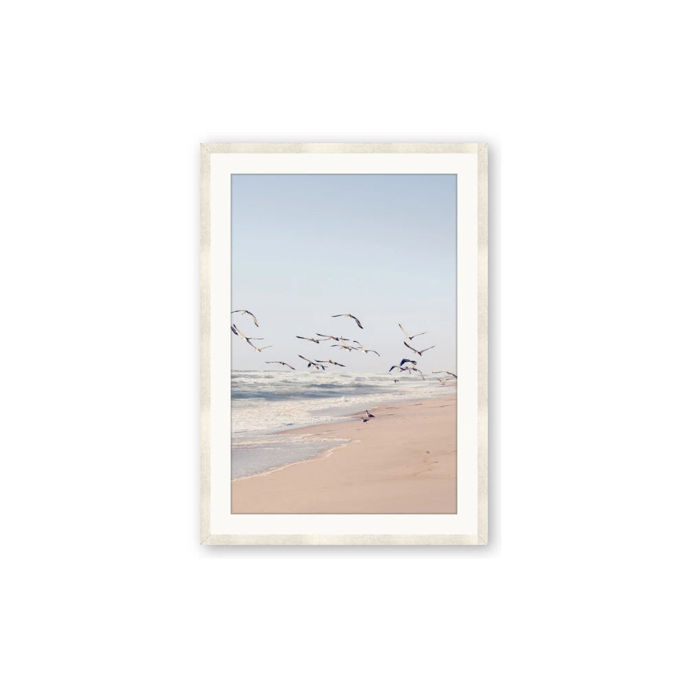 Beach Birds