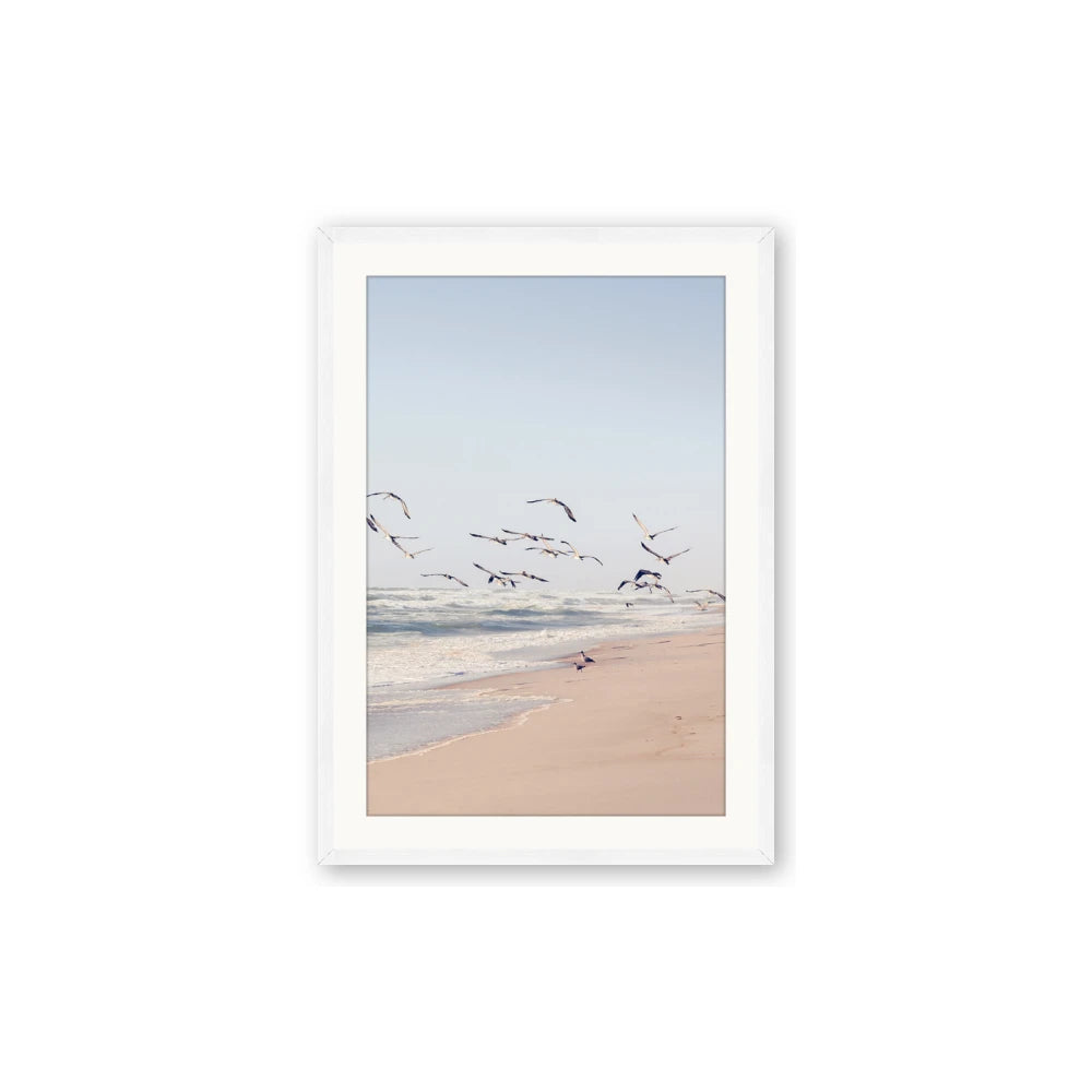 Beach Birds