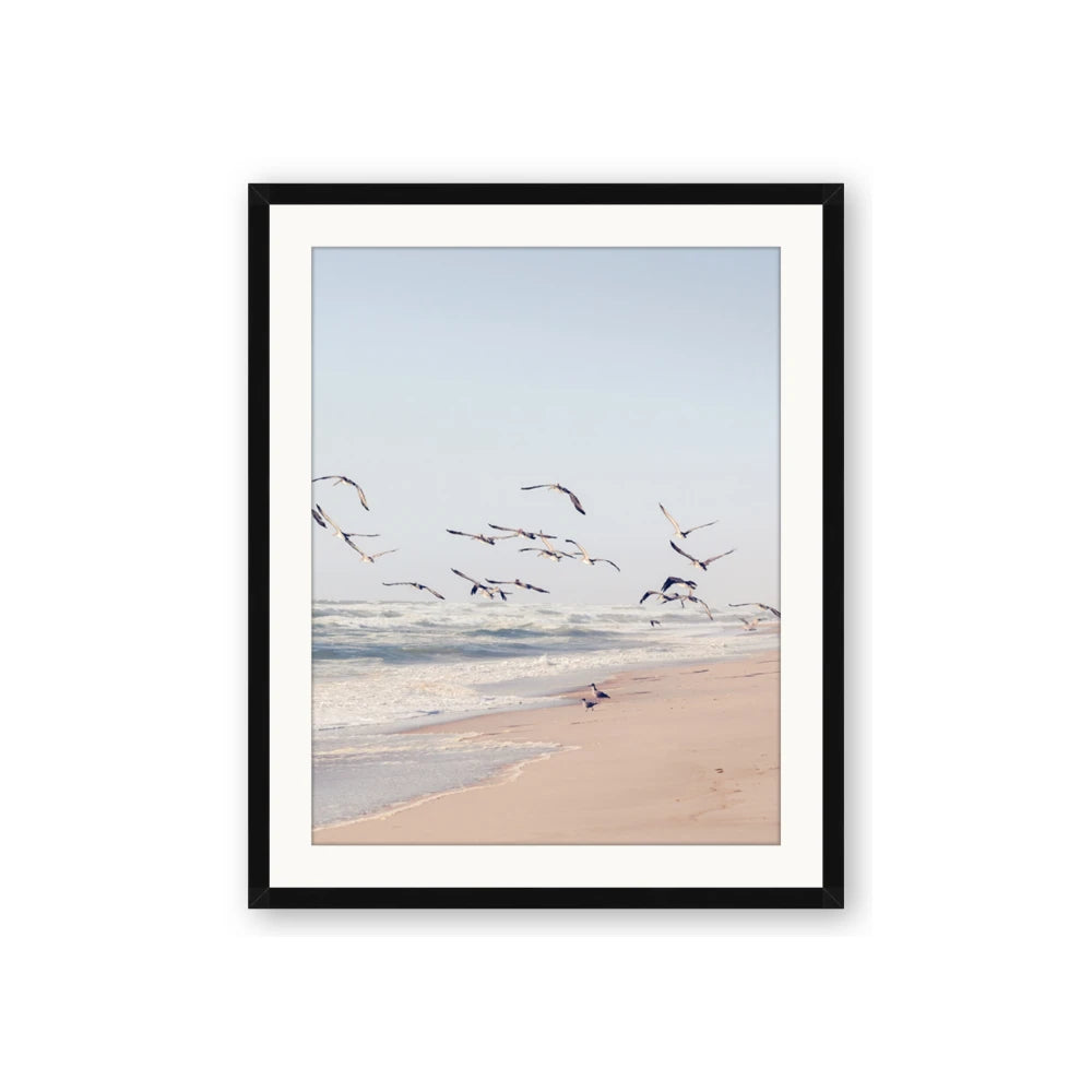 Beach Birds