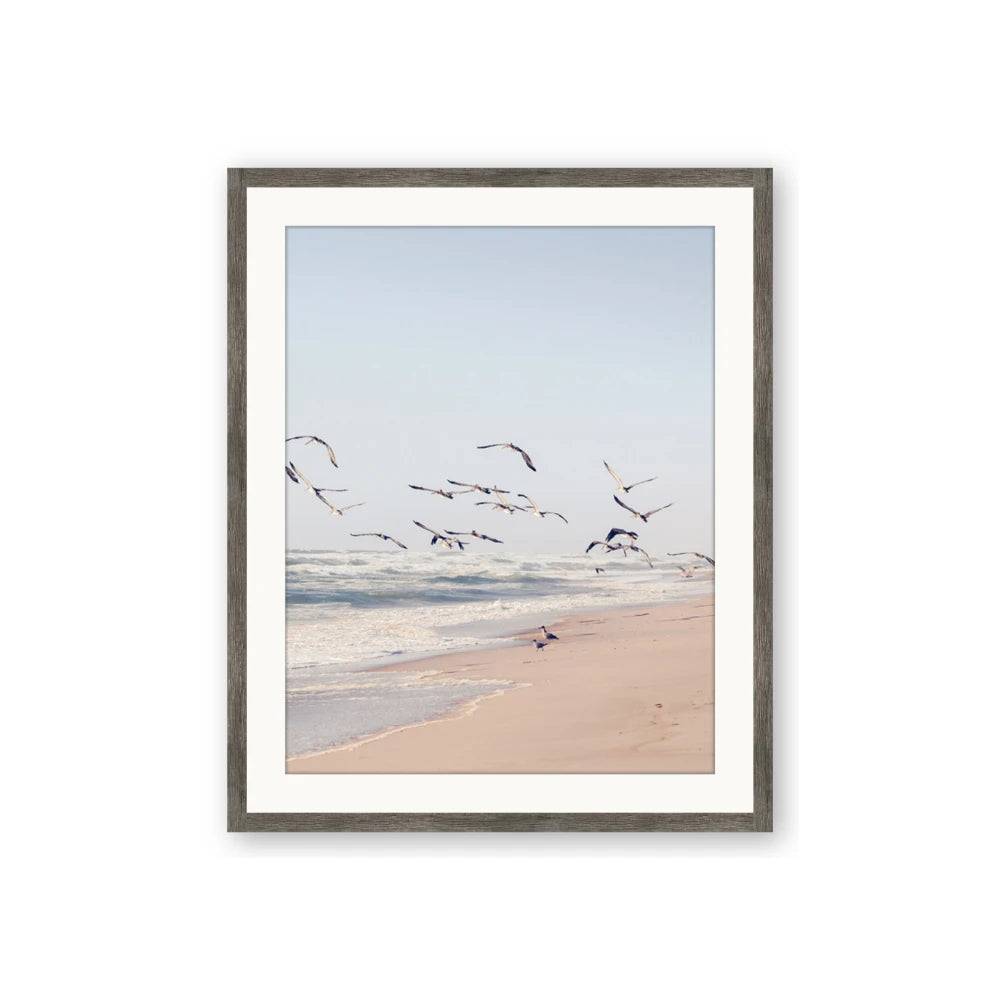 Beach Birds