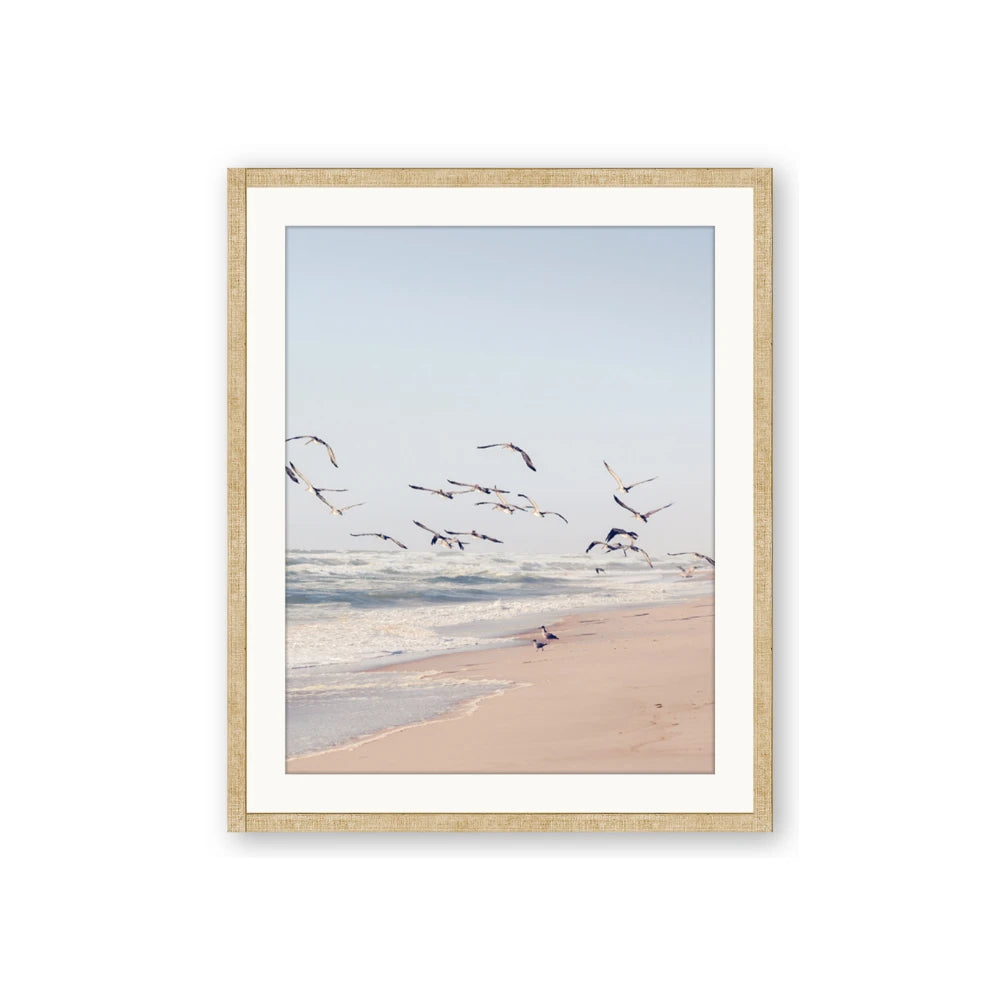 Beach Birds