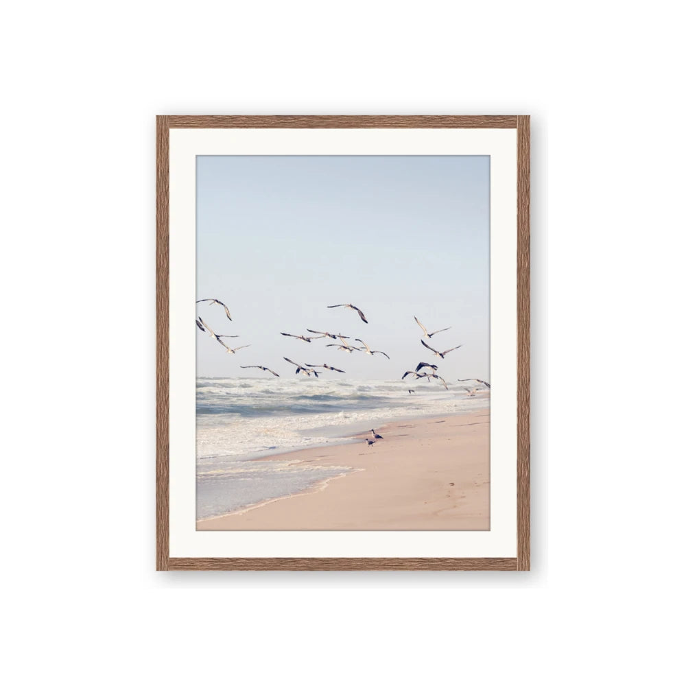 Beach Birds