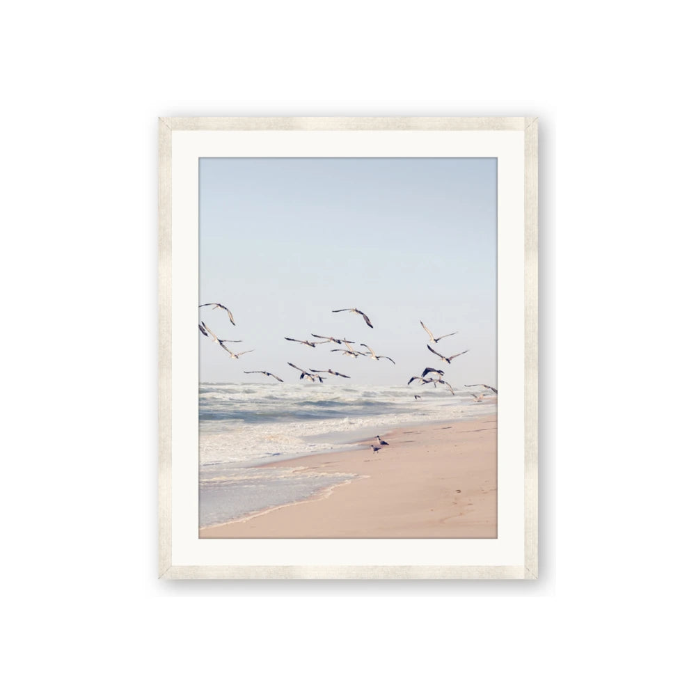 Beach Birds