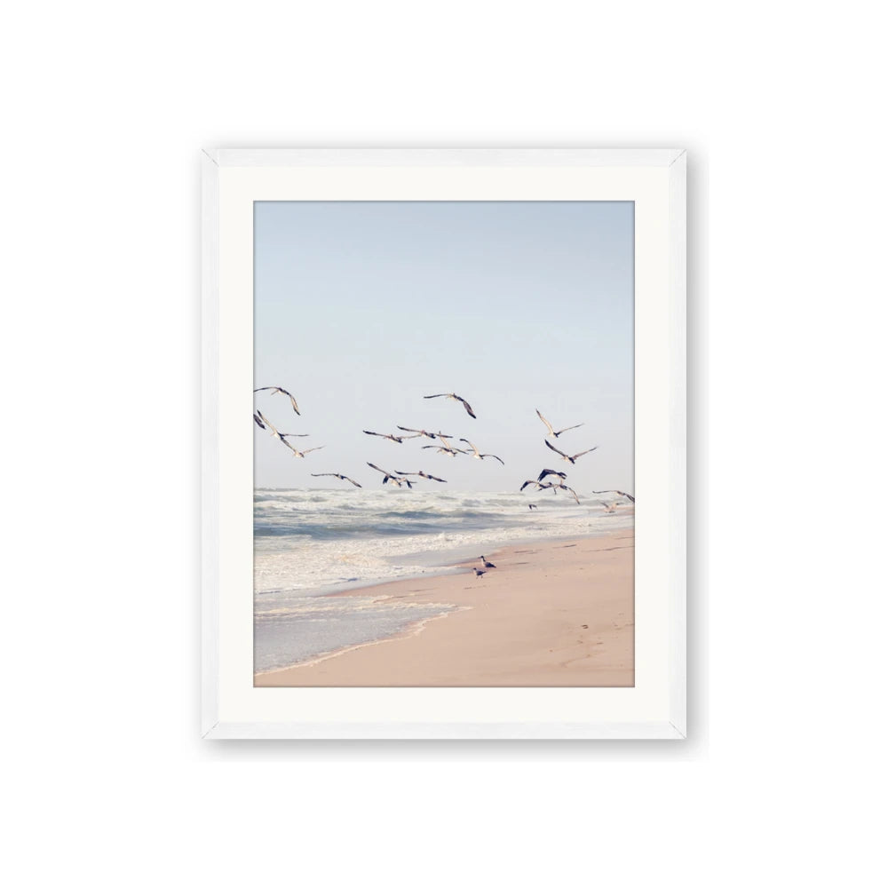 Beach Birds